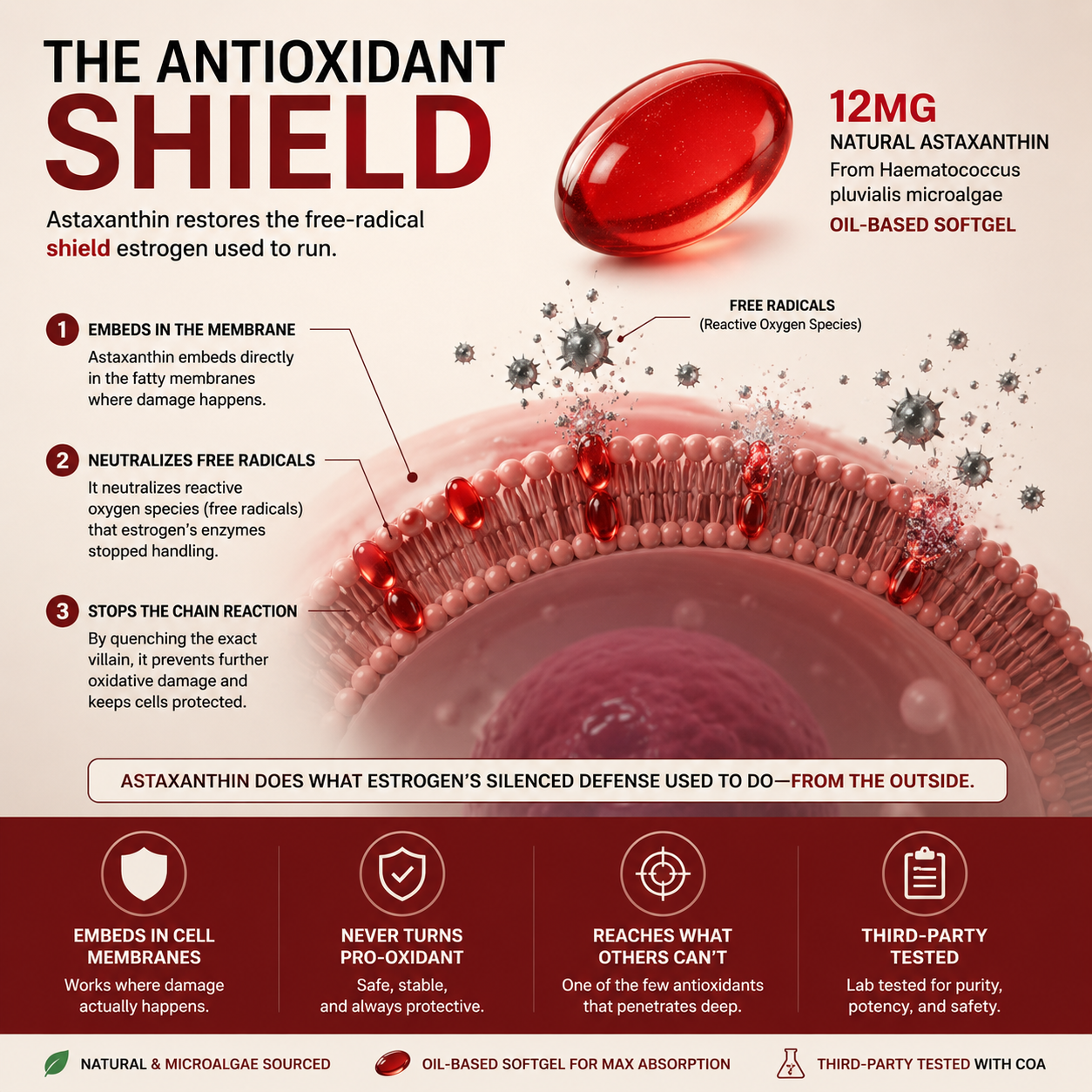 Astaxanthin 12mg Softgels